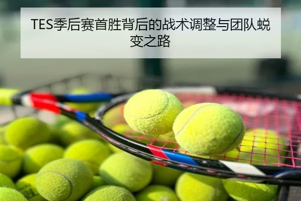 TES季后赛首胜背后的战术调整与团队蜕变之路