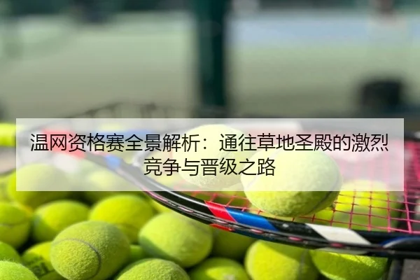 温网资格赛全景解析：通往草地圣殿的激烈竞争与晋级之路