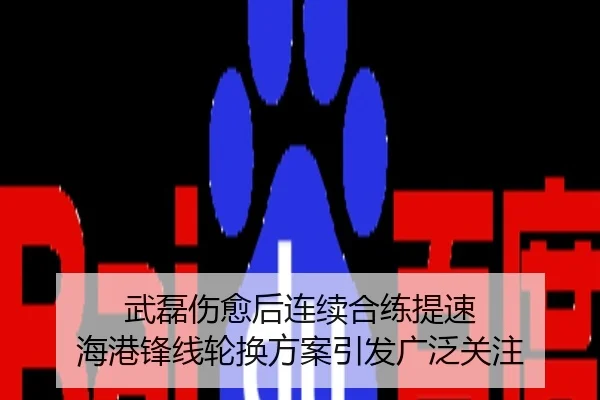武磊伤愈后连续合练提速 海港锋线轮换方案引发广泛关注