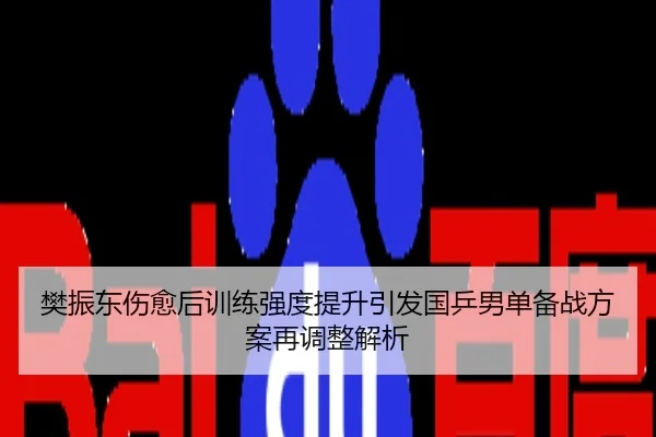 樊振东伤愈后训练强度提升引发国乒男单备战方案再调整解析